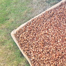 Load image into Gallery viewer, Washing Nuts 12.5kg (25 x 500g BAGS)